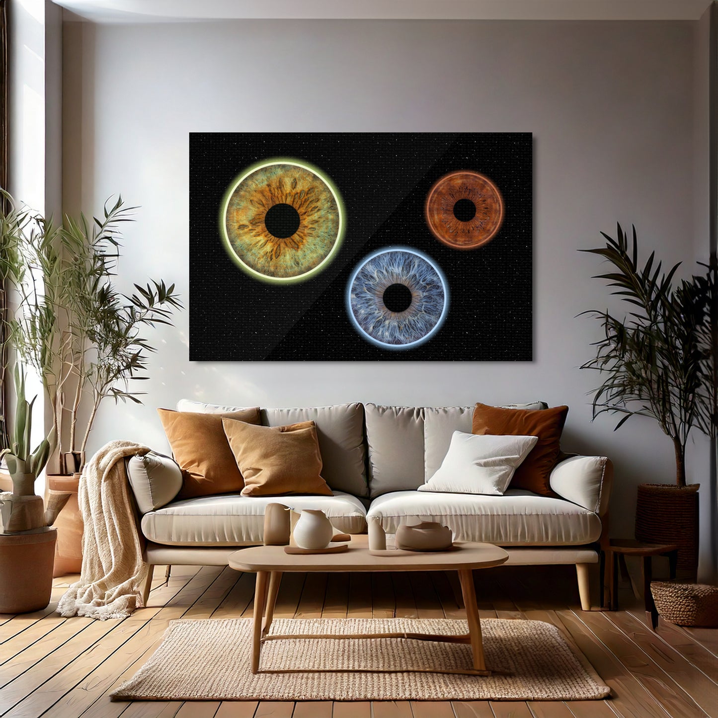 CANVAS - Universum