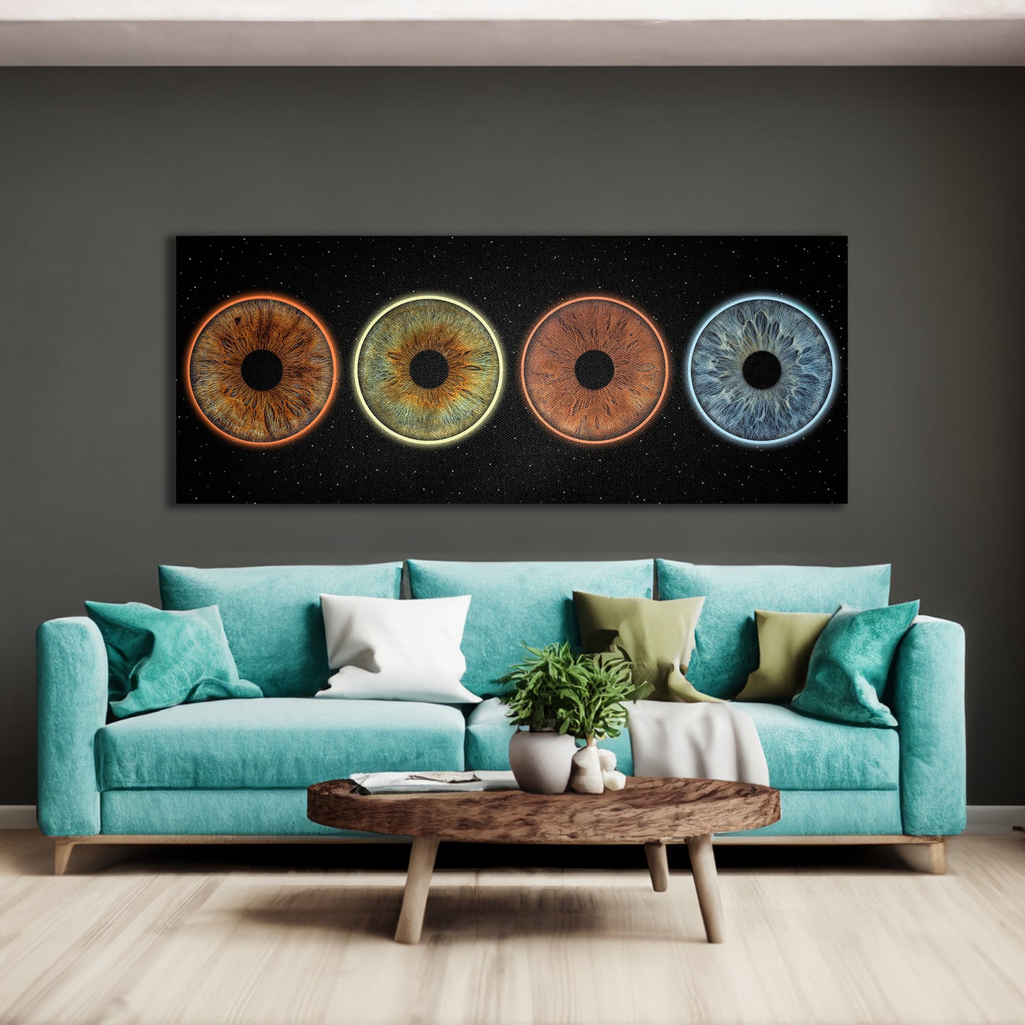 CANVAS - Universum