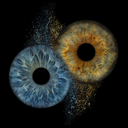 The Anatomy and Function of the Iris: A Scientific Overview
